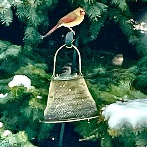 Meet your Posher, Karen